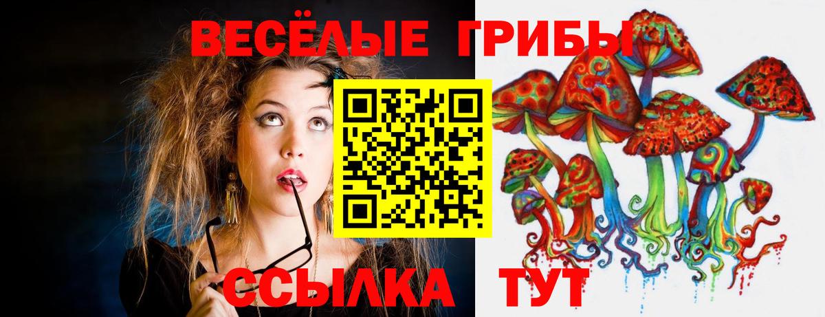 Псилоцибиновые грибы Cubensis Фролово